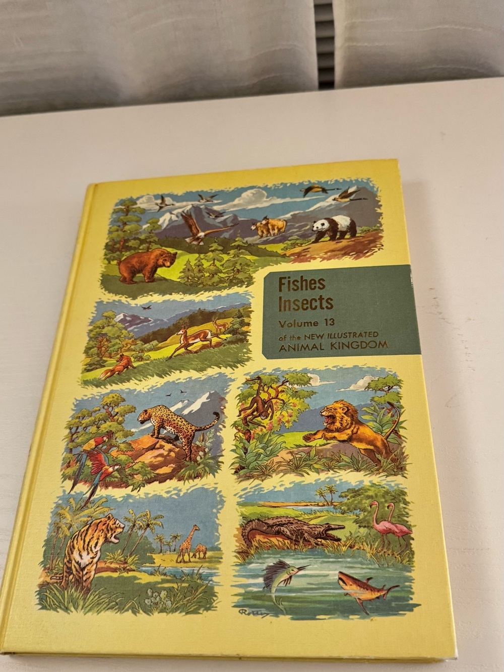 Vintage Fish & Insects Illustrated Animal Kingdom Hardcover - Yellow